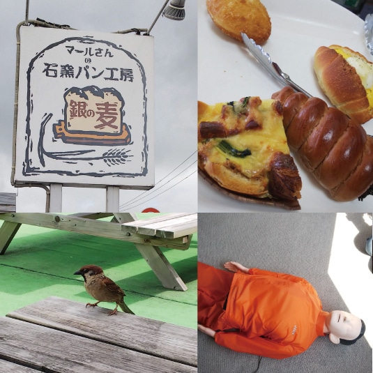 スズメも食べに来てました笑