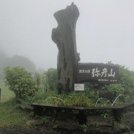 弥彦神社に行ってきました